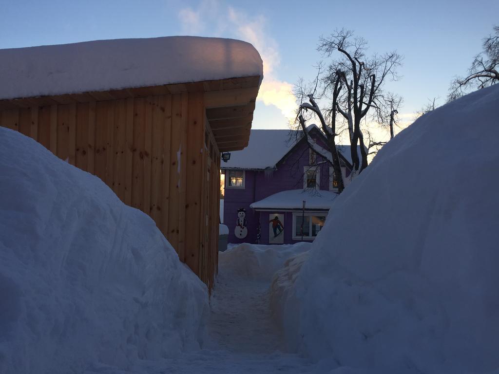 Blockhaus An Der Skiwiese Braunlage Eksteriør billede