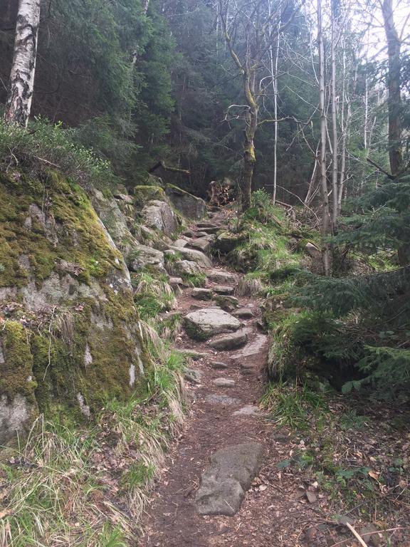 Blockhaus An Der Skiwiese Braunlage Eksteriør billede