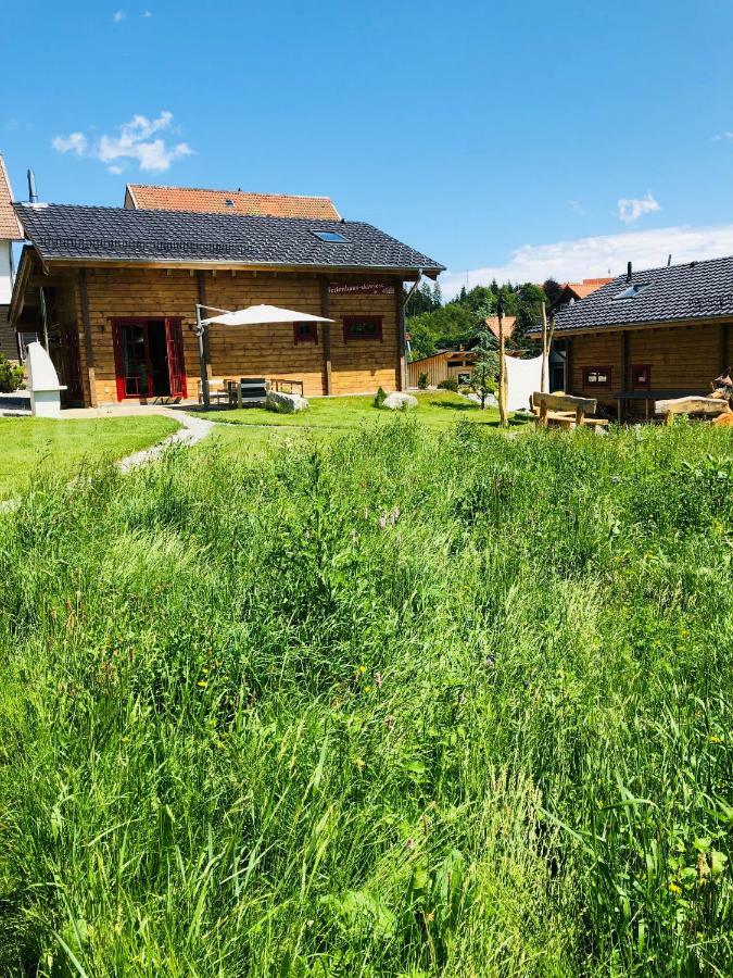 Blockhaus An Der Skiwiese Braunlage Eksteriør billede